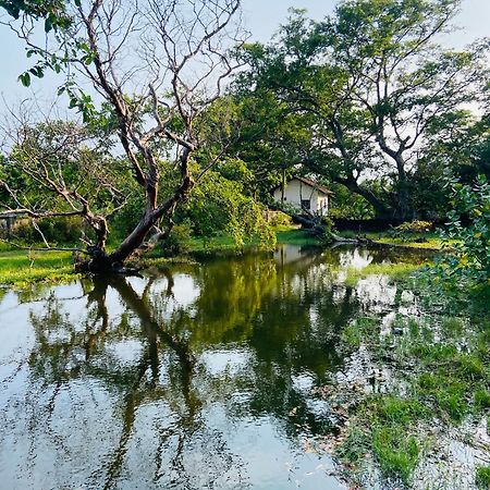 River Park Resort Arugambay Arugam Bay Exterior photo