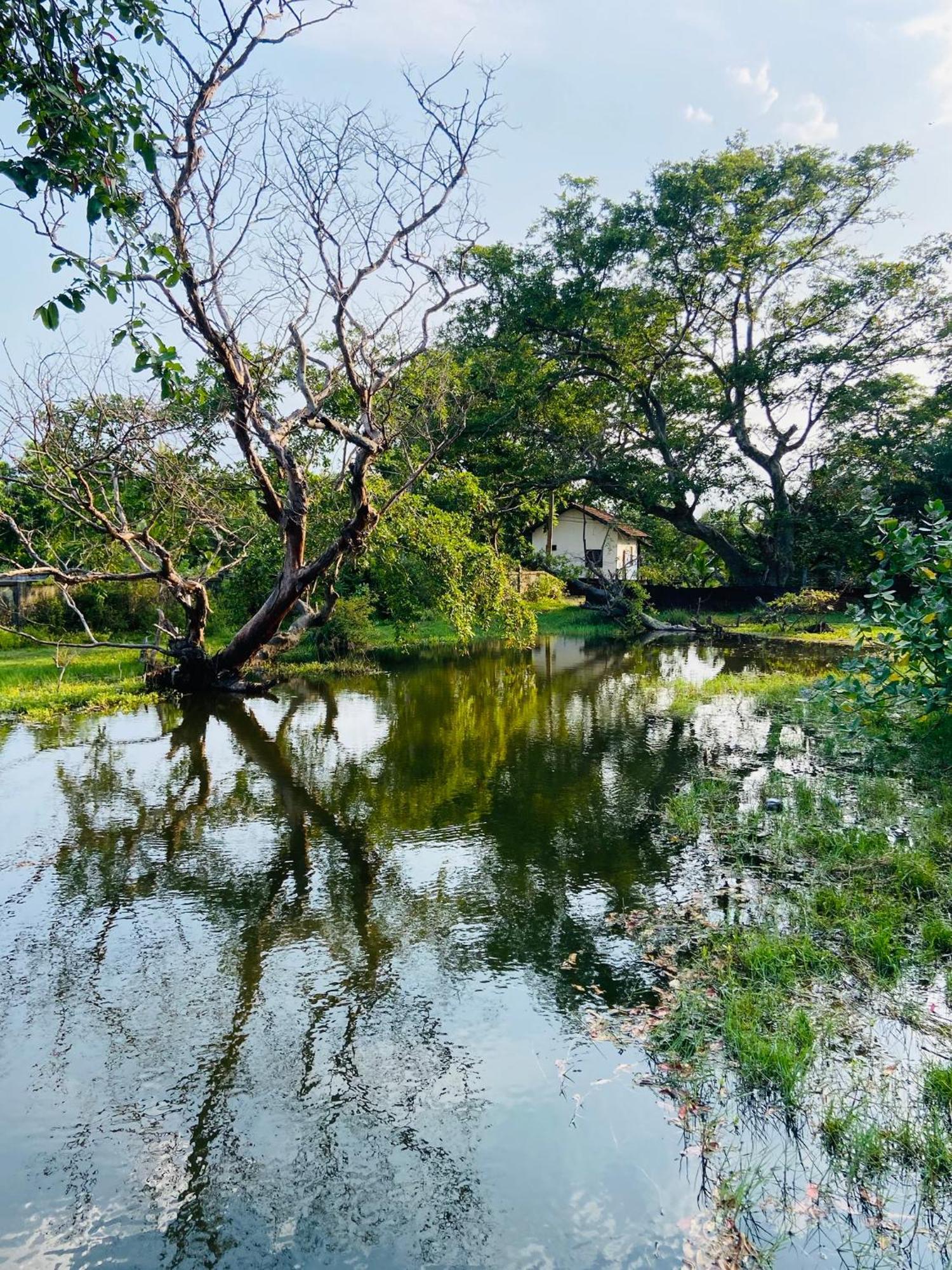 River Park Resort Arugambay Arugam Bay Exterior photo